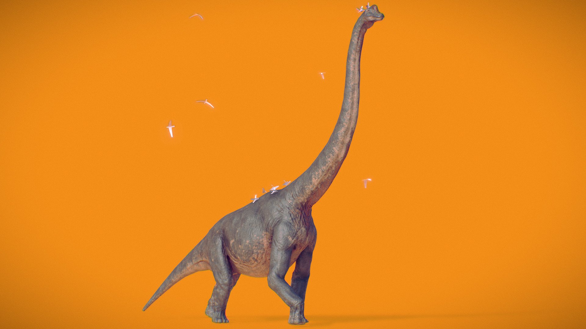 walk cycle - Brachiosaurus - 3D model by Marcel Schanz (@mschanz) 3d model