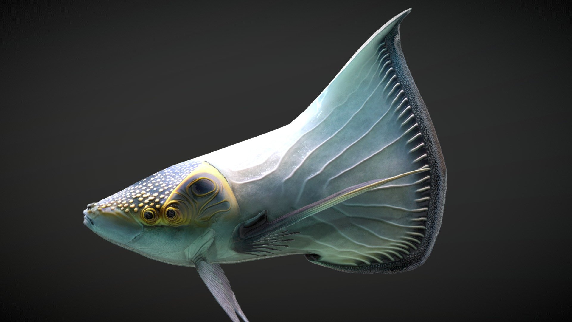 Contains 4096x4096 textures for Diffuse, Normal Map, Opacity and  Eye Mask - Alien Fantasy Fish - Solar Fin - Buy Royalty Free 3D model by Davis3D 3d model