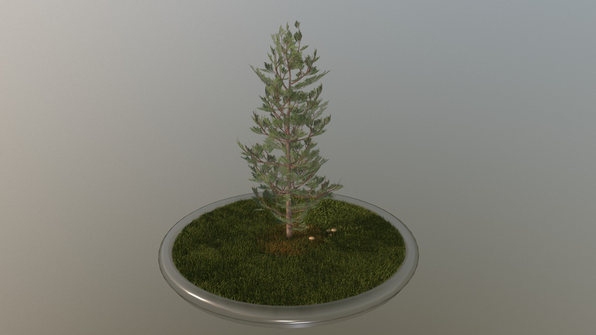 Here is a 8 meter high pine





Textures(4k):

-Color map

-Normal map



This model was created by 3DHaupt for the Software-Service John GmbH

Here on Sketchfab you can see and purchase some of our 3d-models which we are using in our projects for VIS-All.

The model was created in Blender-3d - Pine Tree - 8 Meter - Buy Royalty Free 3D model by VIS-All-3D (@VIS-All) 3d model