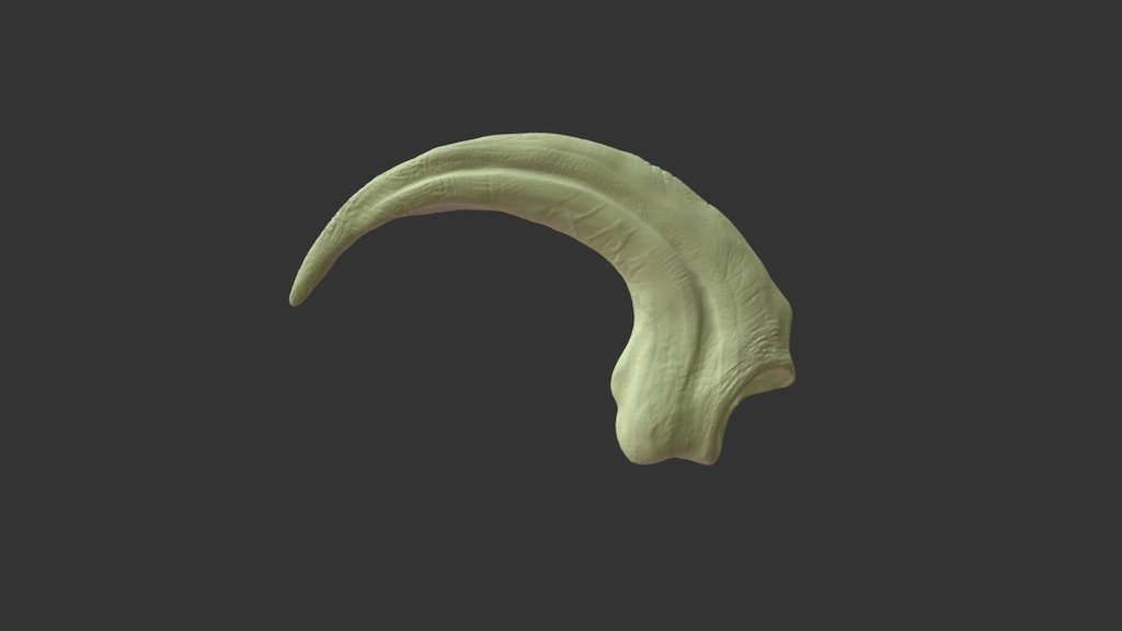 Model of a Raptor Claw made by Peregrine360 - Velociraptor Claw - 3D model by P360 3d model