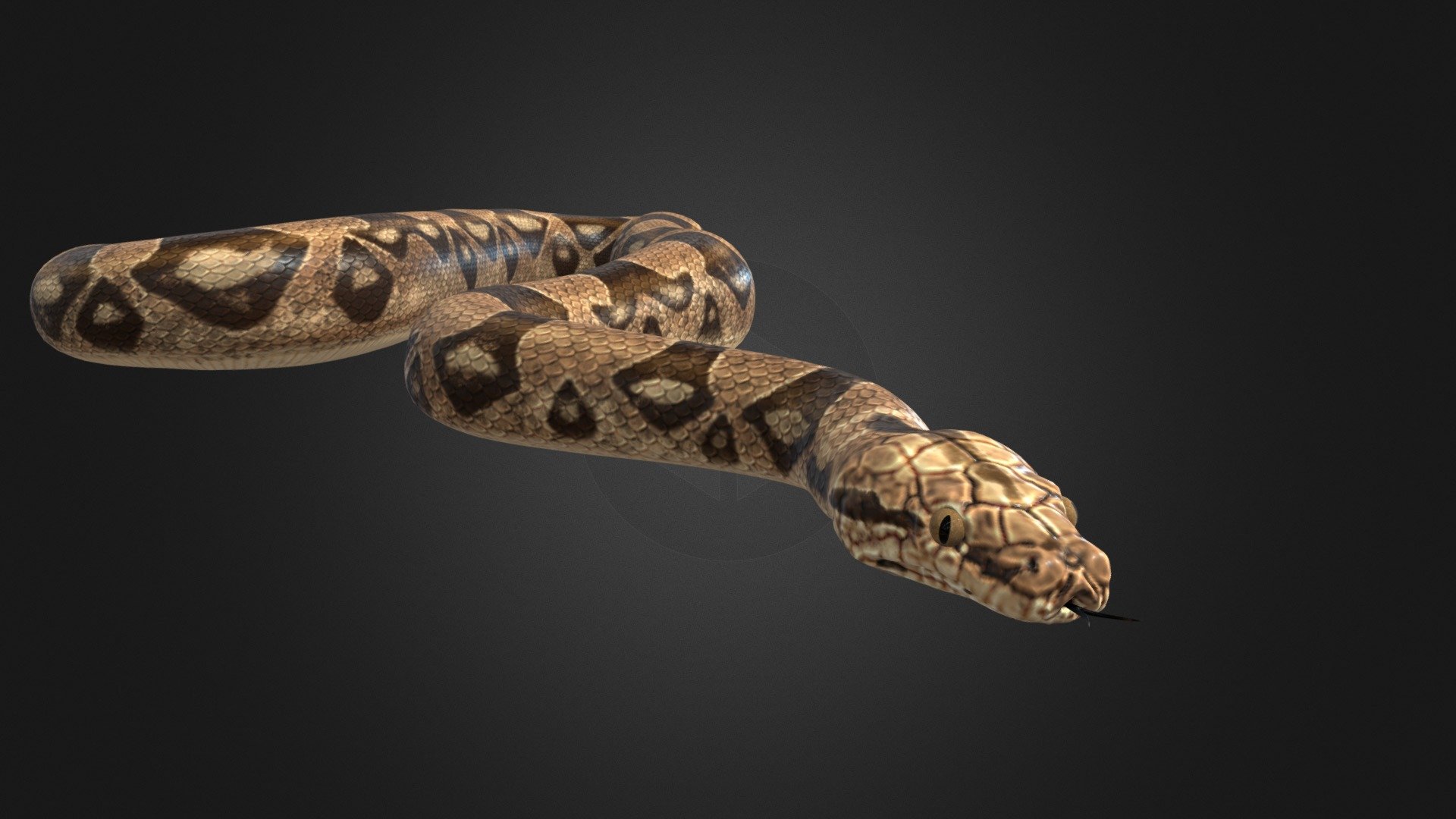 high detailed Snake - high detailed Snake - Download Free 3D model by Al-Deezel (@Al-dezel) 3d model