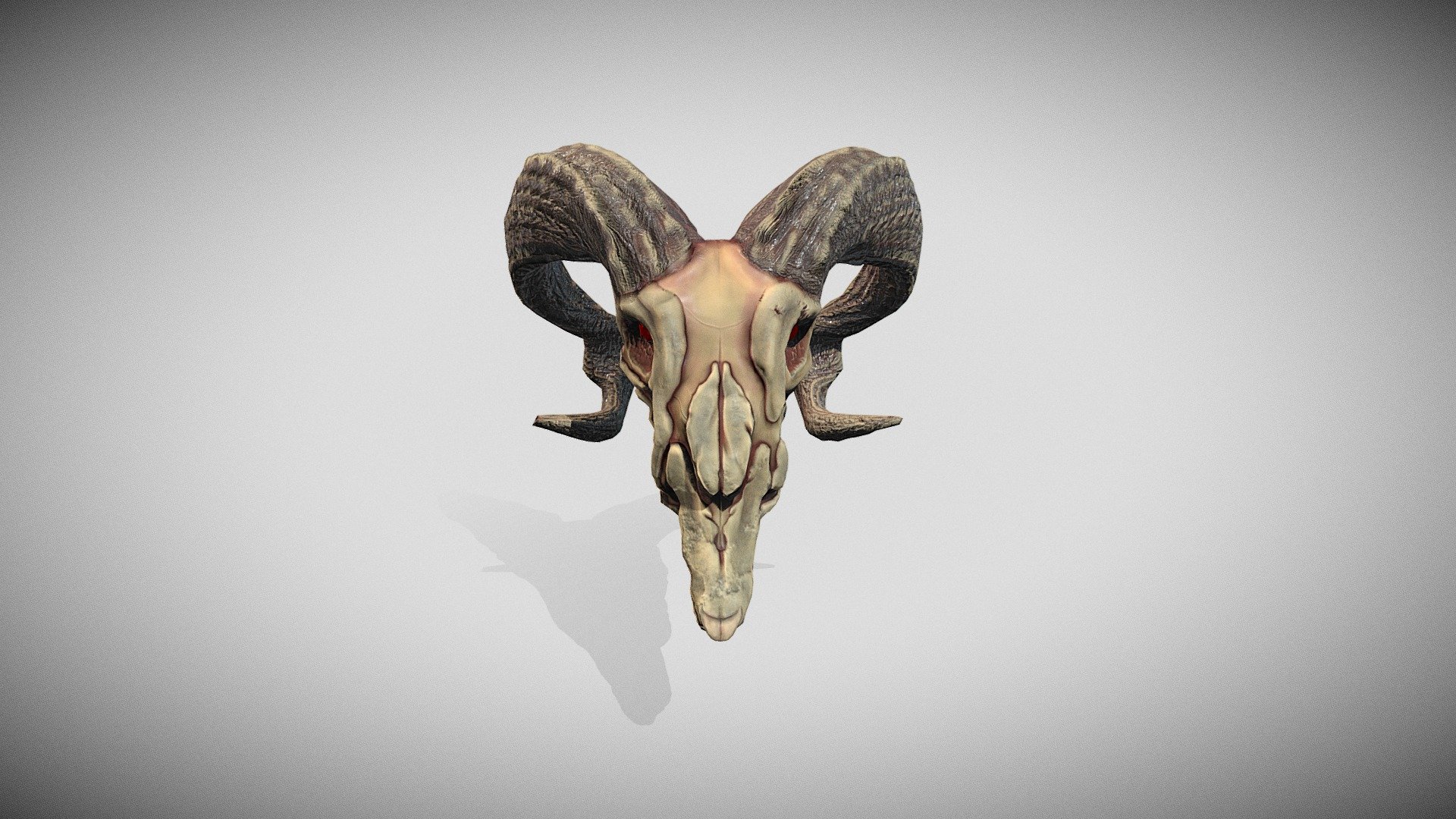 goat skull in mystical style.
the document contains: fbx, obj, tiff - goat skull GAMEREADY - Buy Royalty Free 3D model by spartankaKst 3d model