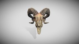 goat skull GAMEREADY