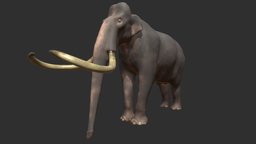 Southern Mammoth (Mammuthus meridionalis) elephant, mammal, pleistocene, extinct, mammoth, proboscidea, mammuthus, ice-age, elephas, mammalia, proboscidean, elephantidae, prehistoric, elephantinae, elephantini, archidiskodon, parelephas, mammonteus, gelasian, mammuthus-meridionalis