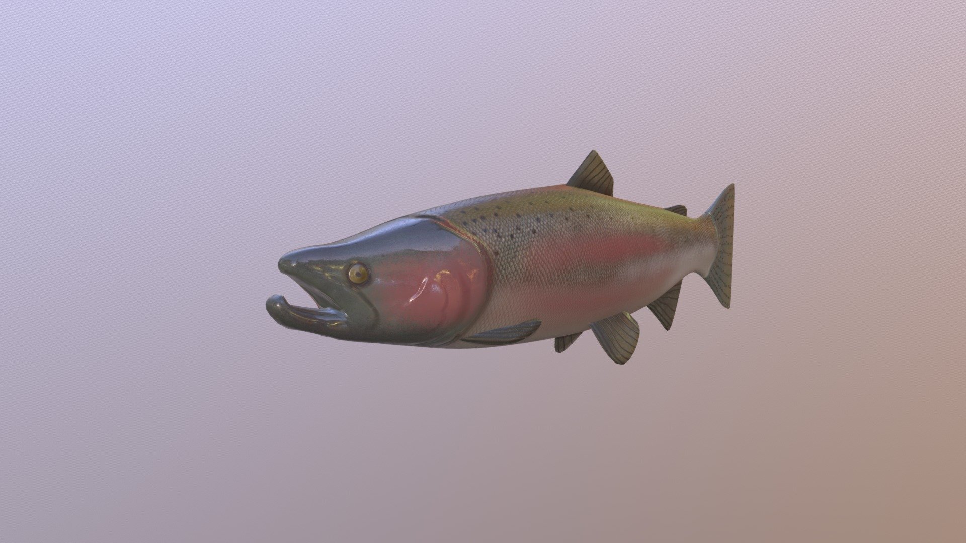 Trying out Substance Painter for the first time! - Steelhead Salmon - 3D model by Chris (@CliffDweller) 3d model