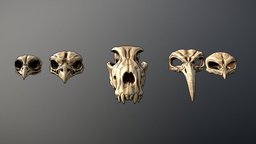 Skulls Masks skulls, bird, dog, skull, zbrush