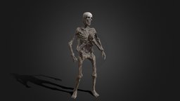 Four-armed Monster skeleton, warrior, demon, undead, haunted, arms, scary, ghoul, corpse, creature, monster, fantasy, horror, evil