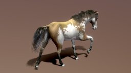 Horse — Spanish Mustang ( Painted )