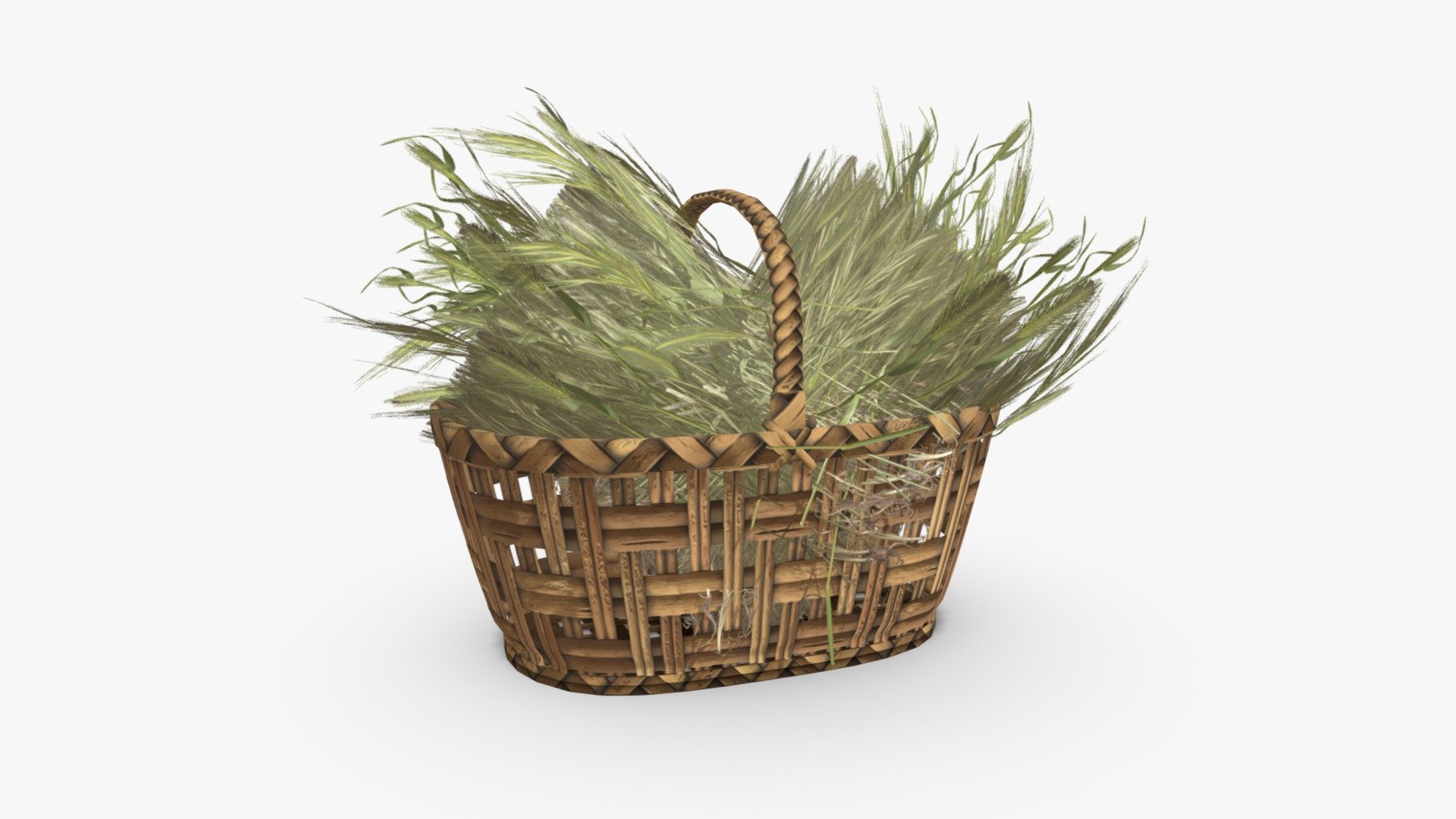 Check out my website for more products and better deals! &amp;gt;&amp;gt; SM5 by Heledahn &amp;lt;&amp;lt;

This is a digital 3d model of two rolls of Harvested Barley in a Wicker Basket. The basket is very rough and big, perfect to hold the harvested goods, and the barley bulrush tied in two messy rolls.

This model can be used for any Medieval/Fantasy themed render project, used either as a background prop, or as a closeup prop due to its high detail and visual quality.

This product will achieve realistic results in your rendering projects and animations, being greatly suited for close-ups due to their high quality topology and PBR shading 3d model