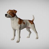Jack Russel jack, dog, pet, realtime, mammal, nextgen, vr, realistic, real, canine, russell, game, pbr, lowpoly, gameready