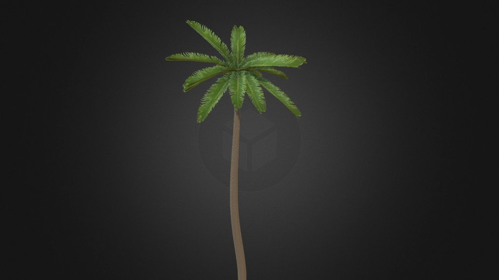 Palm Tree Medium - 3D model by Alex Gimson (@alexgimson) 3d model