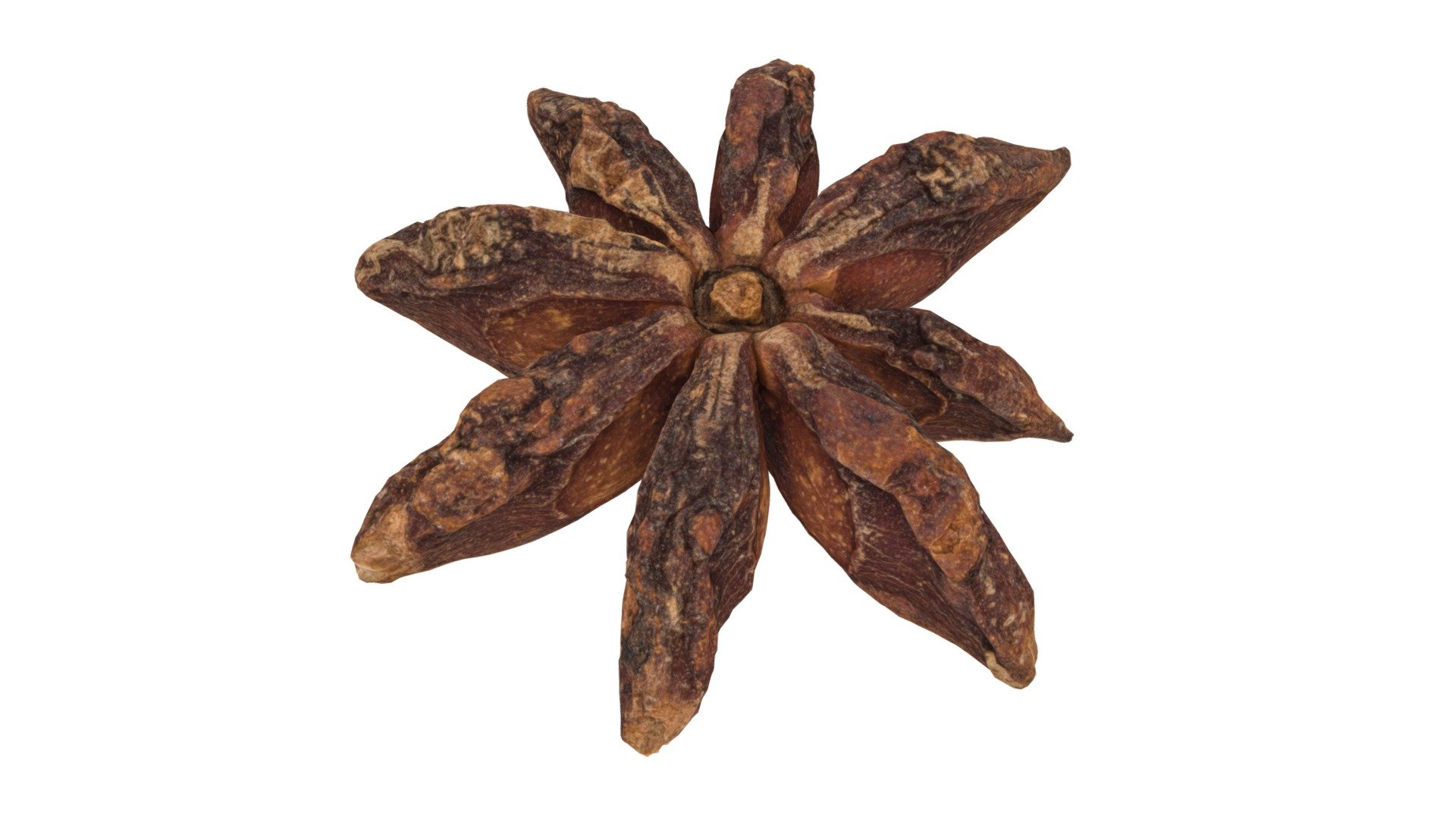 Highly detailed, photorealistic, 3d scanned model of a starAnise. 8k textures maps, optimized topology and uv unwrapped.

Model shown here is lowpoly with diffuse map only and 4k texture size.

This model is available at www.thecreativecrops.com 3d model