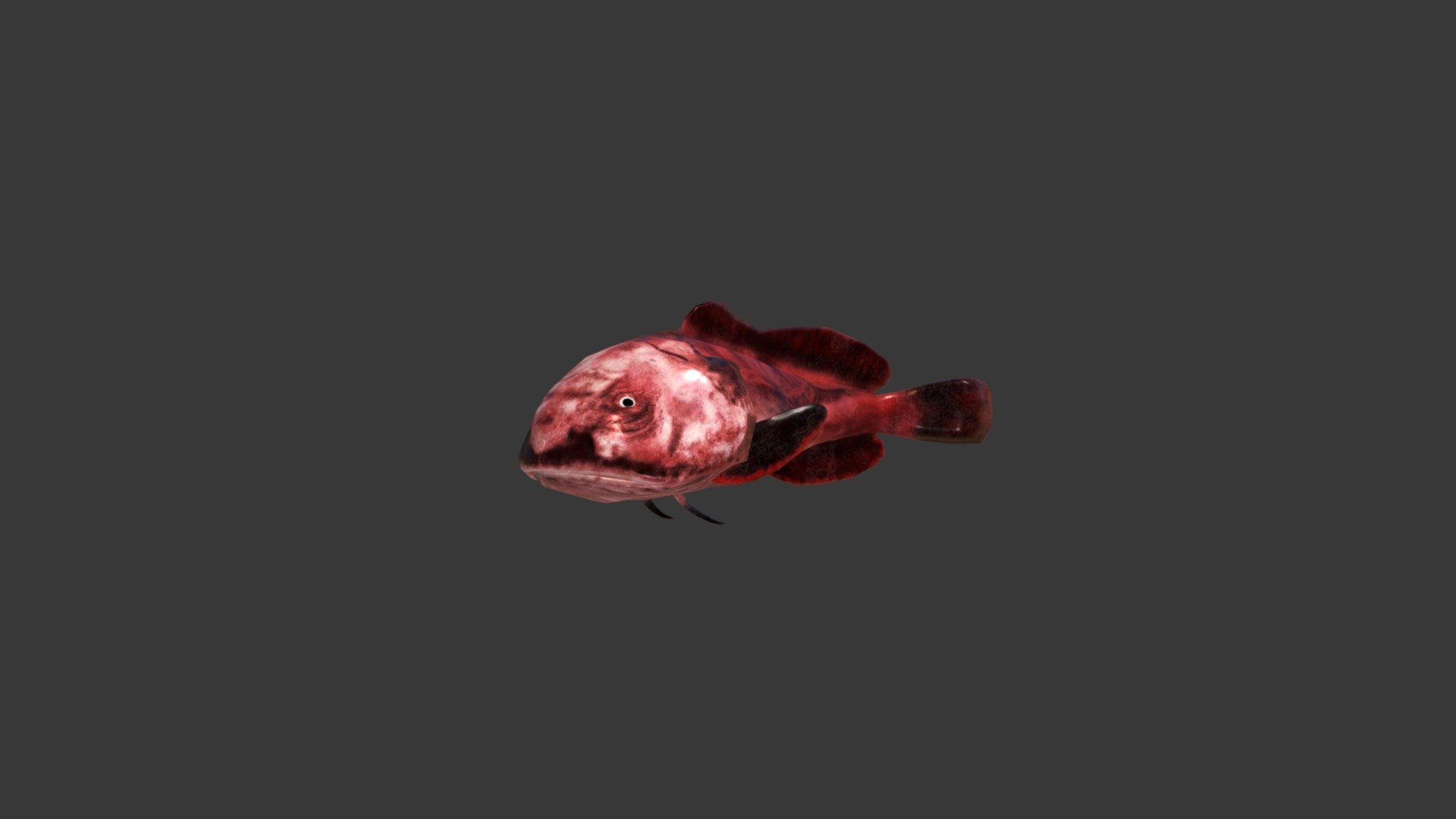 Blobfish - 3D model by josluat91 3d model
