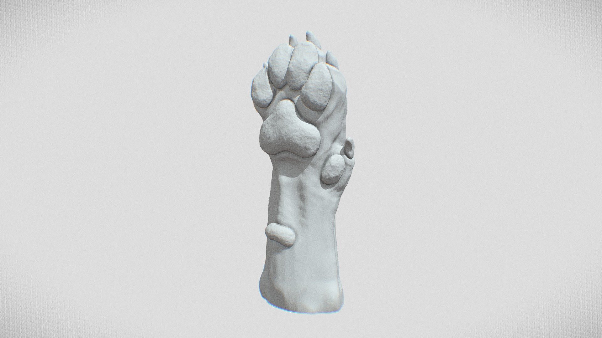 This paw was sculpted and decimated in zbrush.

see more of my work on my website and instagram:

https://www.tomjohnsonart.co.uk/

https://www.instagram.com/tomjohnsonart/ - Dog Paw - Download Free 3D model by Tom Johnson (@Brigyon) 3d model