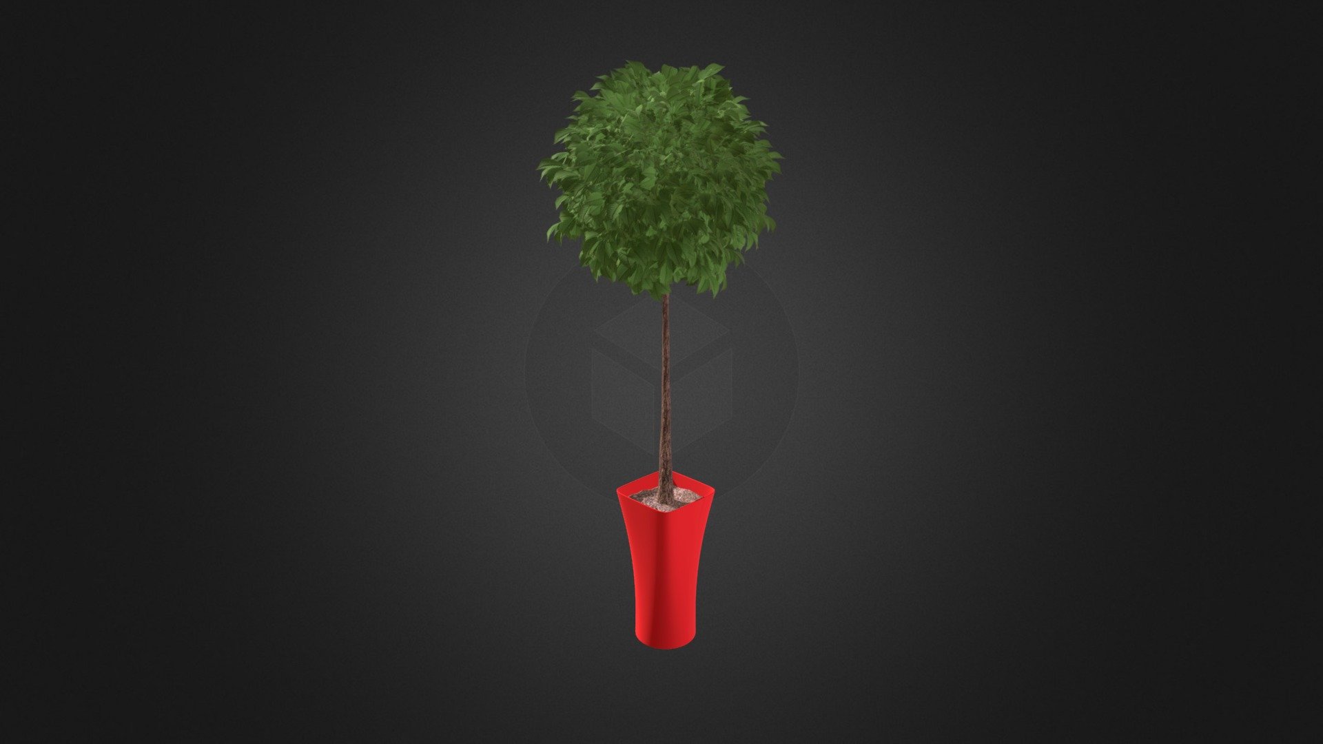 Potted Tree - Potted Tree - Buy Royalty Free 3D model by cgaxis 3d model