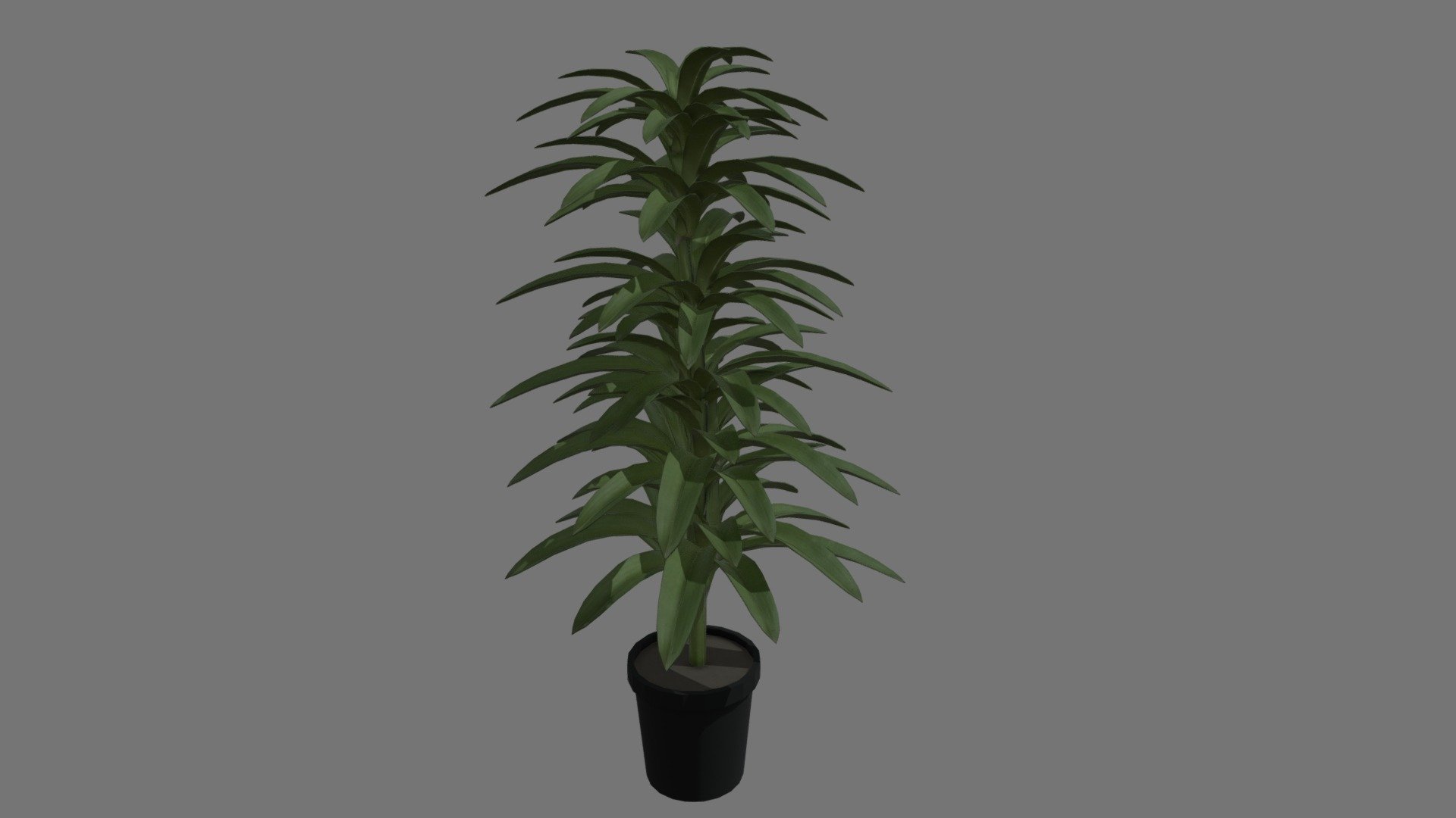 potted plant modelled, uv mapped and textured in maya 2022 for use in my FMP for my college games course 3d model