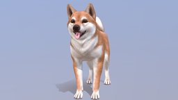 Dog dog, pet, puppy, shiba, inu, akita, shiba-inu, akito, animal, animated