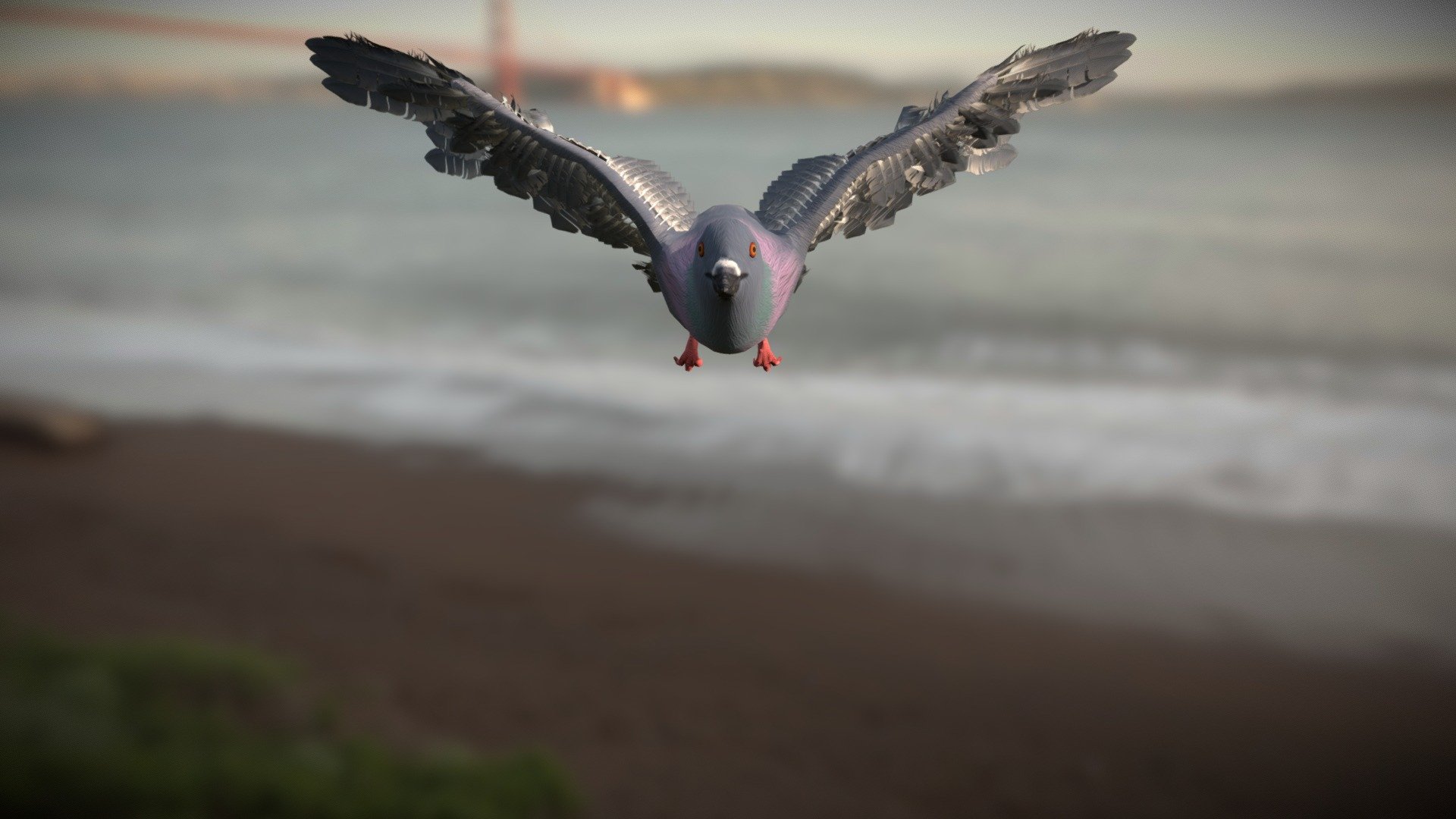 Animated pigeon model - Pigeon - 3D model by Unsettledtoast (@juan_santos8843) 3d model