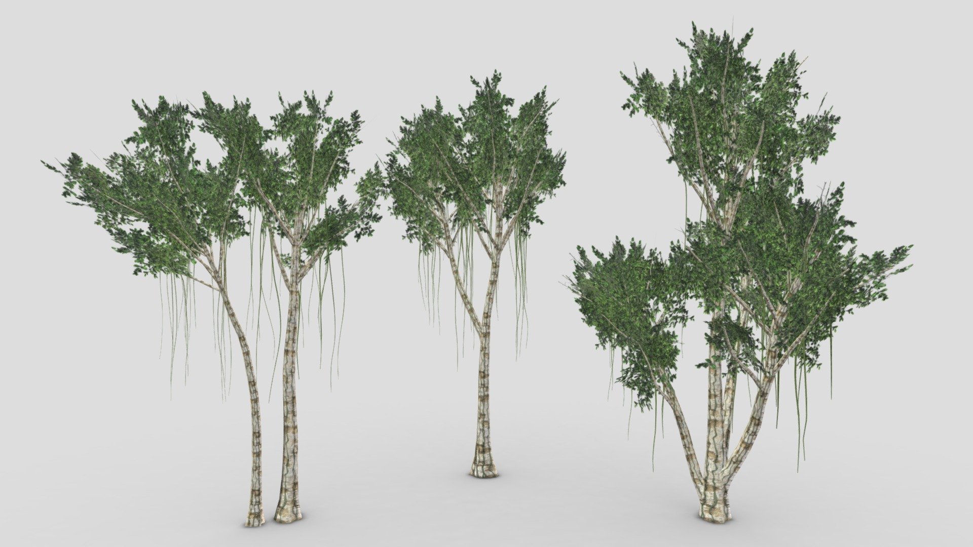 This pack contains three 3D low poly models of the Agarwood Tree. I designed these tree based on my reference and idea.. I hope it will be useful for your projects 3d model