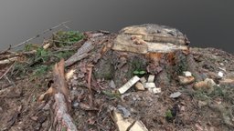 Spruce tree stump tree, green, forest, pine, 3d-scan, medieval, timber, new, cut, fresh, trunk, 3d-scanning, stump, spruce, authentic, downloadable, clearing, freemodel, sawdust, medievalfantasyassets, photoscan, photogrammetry, gameasset, wood, free, download, material, gameready
