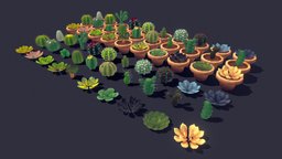 Succulent Plant Pack 02