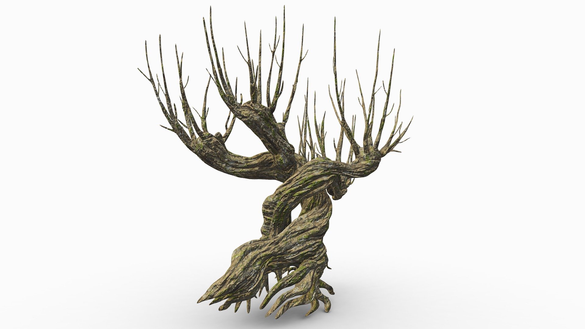 Whomping Willow

WhompingWillow_v2.ZPR is the main project file. 3D modeling, Retopology and UV unwrap were made here. UV map 2048x2048 was flipped U and V.

WhompingWillow.MB has the aiStandardSurface with base color, roughness and normal associated. The project file contains an HDRI and a Render set 1K square, PNG. Project file was set to &ldquo;Textures