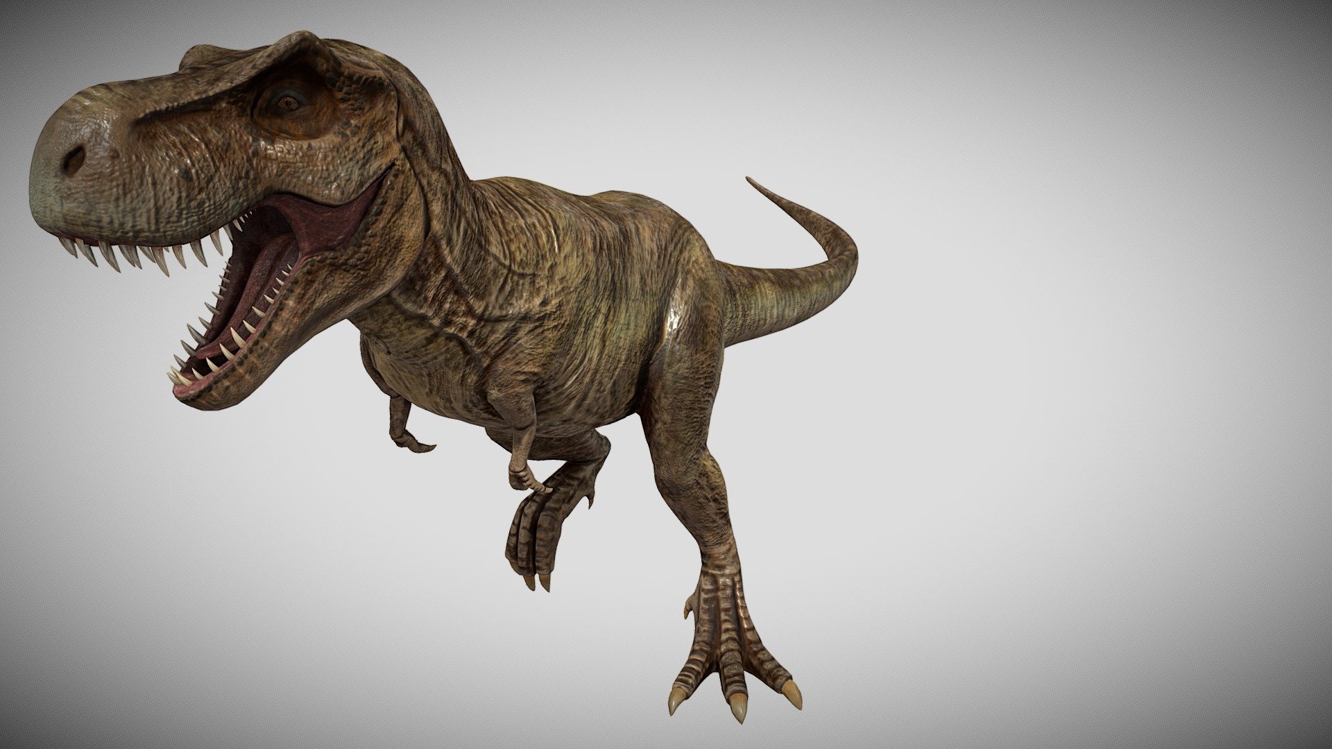 Tyrannosaurus rex was one of the most ferocious predators to ever walk the Earth. With a massive body, sharp teeth, and jaws so powerful they could crush a car, this famous carnivore dominated the forested river valleys in western North America during the late Cretaceous period, 68 million years ago 3d model