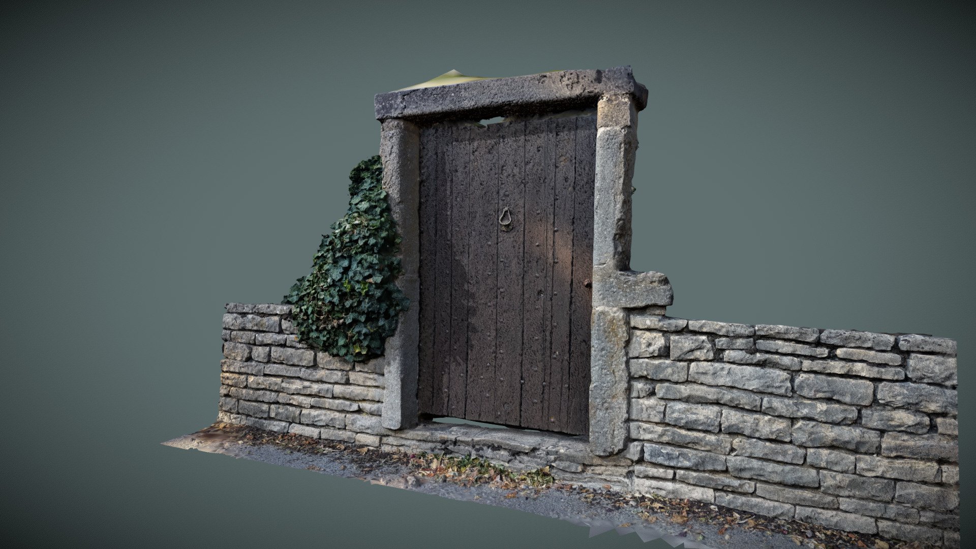 A old Wooden door.

Textures:
Diffuse 
Normal - Old door - 3D model by zeoin 3d model