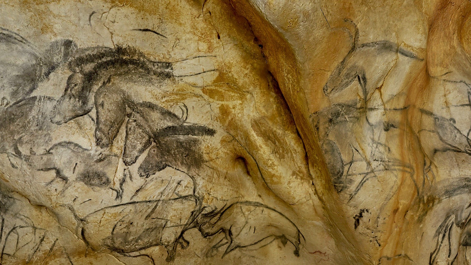 The Panel of the Four Horses contains one of the most evocative works of paleolithic art. Carbon 14 dating of the charcoal in the paintings dates the panel at between 30,000 and 32,000 years BP. The panel is famous for its horses, however, it is a long and sophisticated compostion that uses subtle undulations in the rock wall as part of the compostion.
There is more information about the horse panel here: https://www.ancientartarchive.org/panel-of-the-four-horses-chauvet-in-vr/ - Panel of the Four Horses Chauvet Pont d'Arc - 3D model by Ancient Art Archive (@ancientartarchive) 3d model