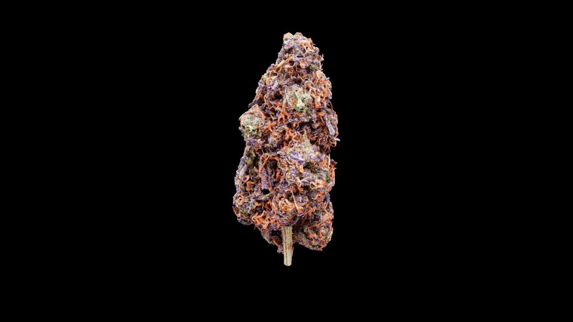 Cannabis bud, Cherry Cookies strain, created using photogrammetry. To be used as part of an NFT collection, and for demonstrating 3D cannabis menu capabilities.

Equipment used: Sony A7R IV, 3DS Max.

Not for sale 3d model