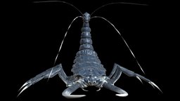LangBug4 insect, rpg, bug, beetle, action, unreal, carapace, jaws, character, unity, pbr, low, poly, monster, fantasy, rigged