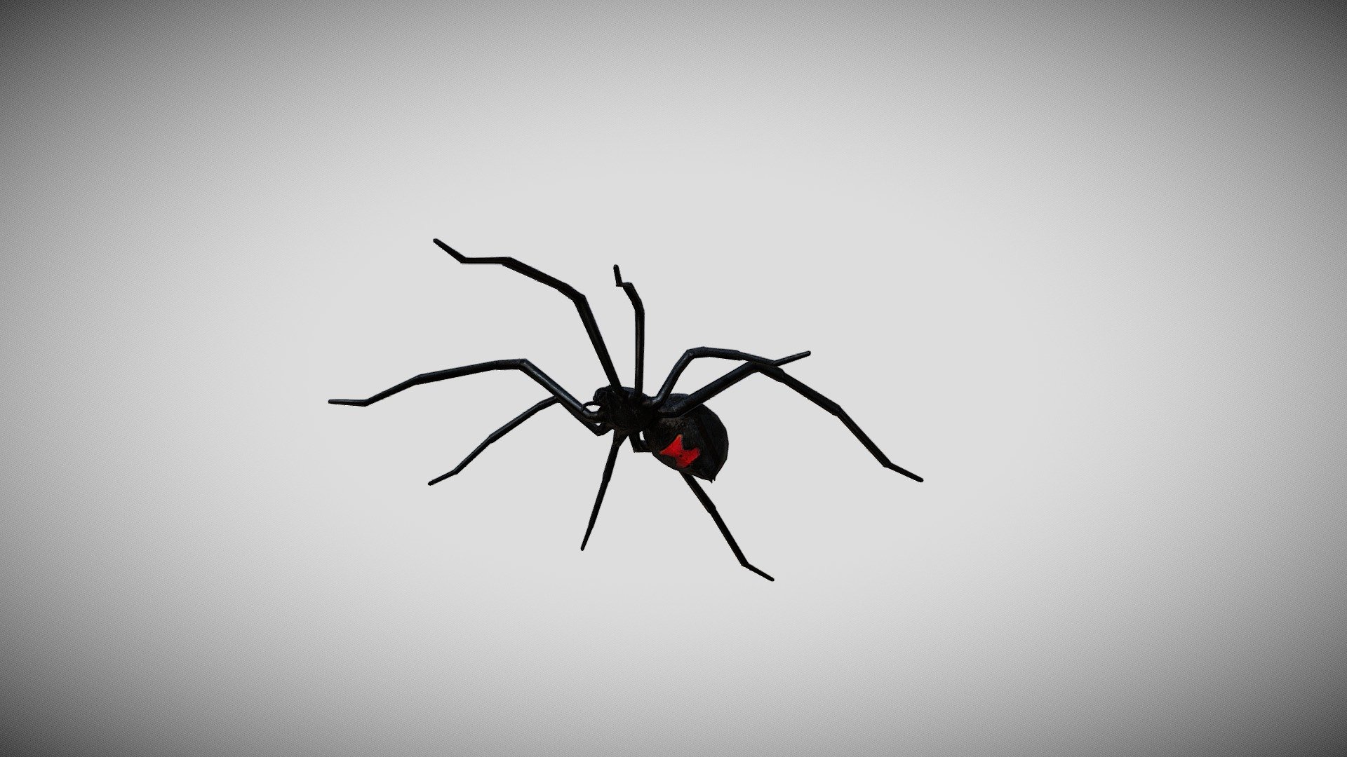 This is a 3d Black Widow Spider with PBR textures and 30 different animations, with most of the animations you might need in a game. Efficiently made with only 3145 triangles 3d model