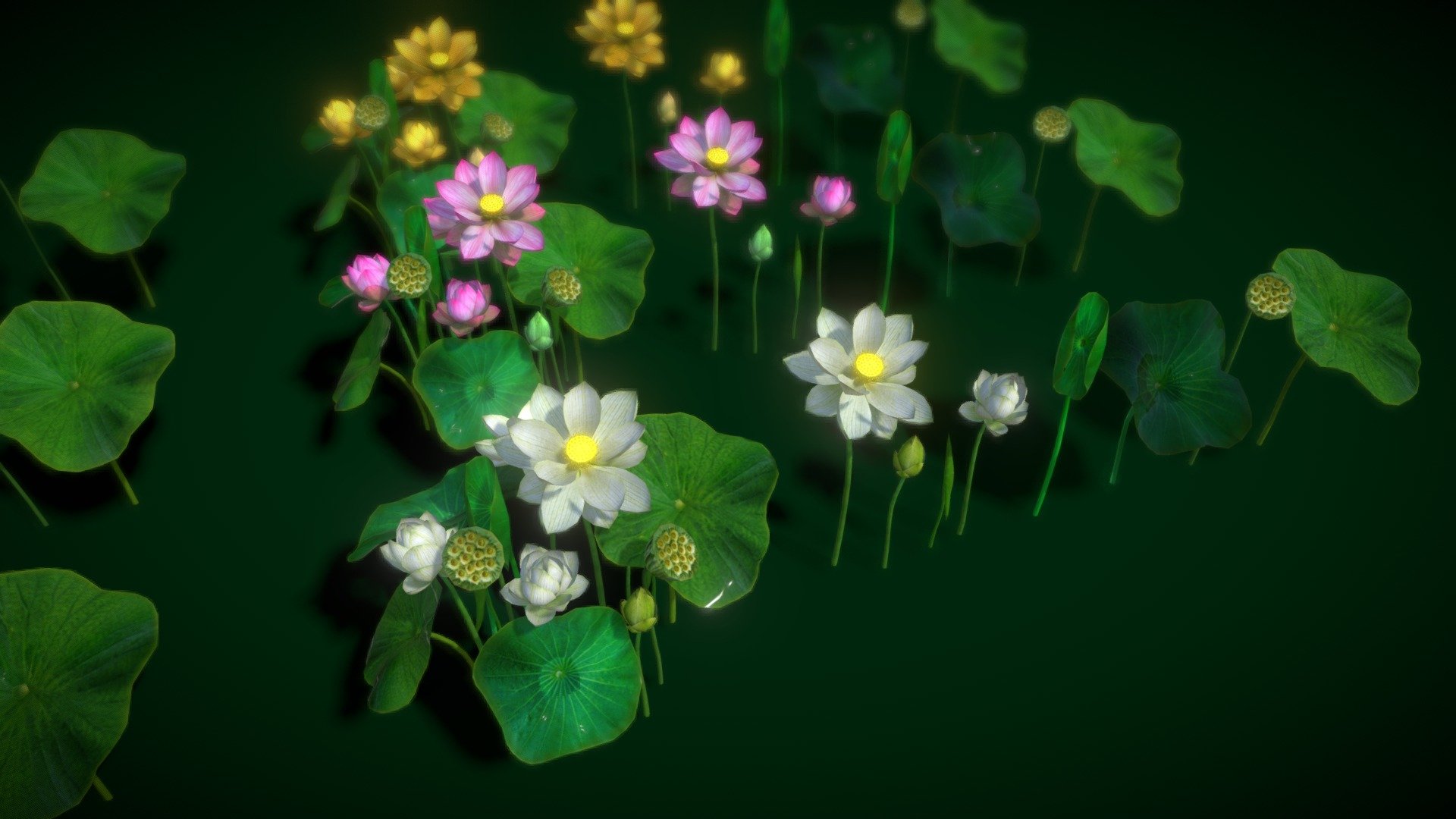 HIGH QUALITY Flower optimized for Unity game engine! 
Mobile Optimize Scene This is model 3DFlower Nelumbo Nucifera in the Big Pack (Cartoon Flower Colections) with over 6 types color!
All objects are ready to use in your visualizations. 
-1024x1024, texture maps 
-Poly Count : Average 31415polys /58000 tris/31831vert - Flower Nelumbo Nucifera - Buy Royalty Free 3D model by vustudios 3d model