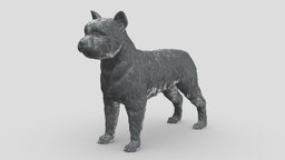 Yorkie V3 3D print model stl, dog, pet, animals, figurine, 3dprinting, doge, 3dprint, dogstl, stldog