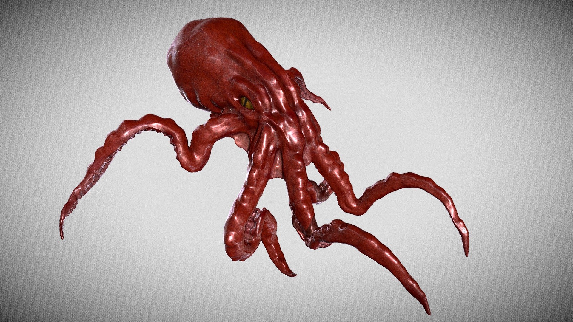 Octopus I sculpted and painted in Adobe Medium. He's angry.... 3d model