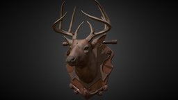 deer_head