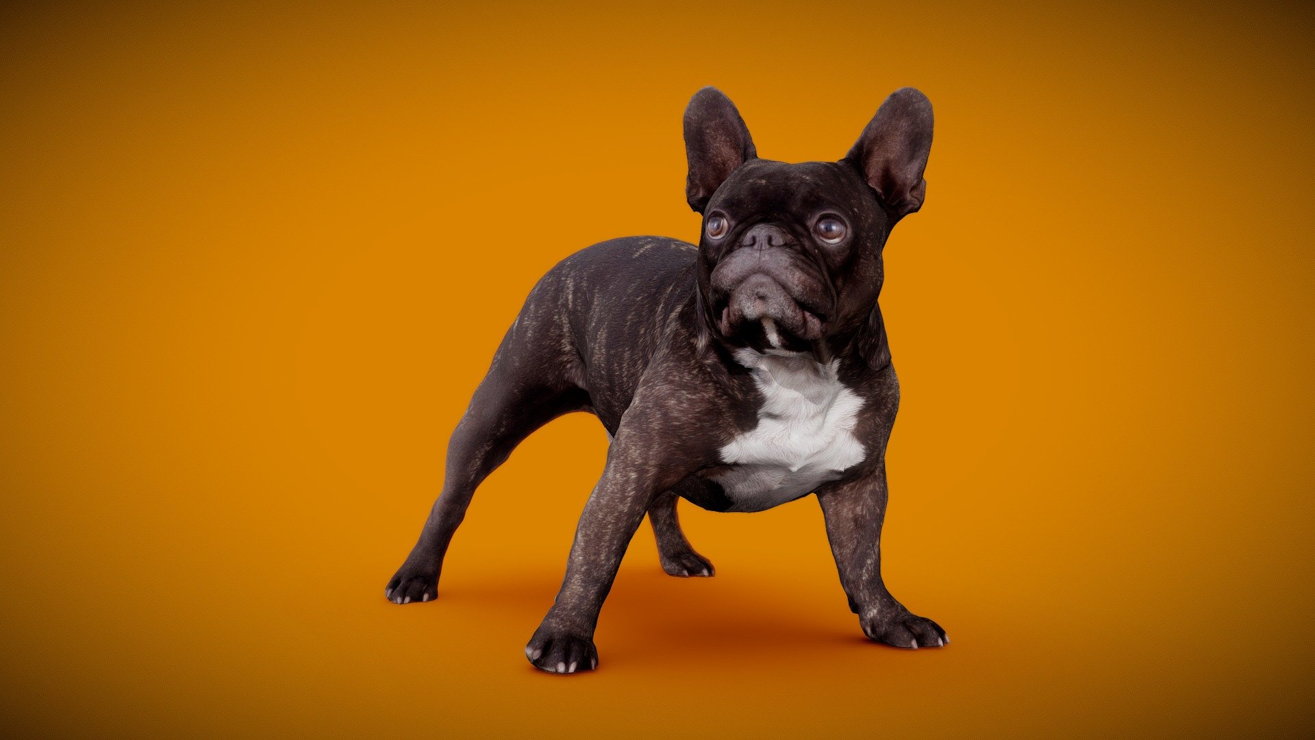 3d-dog-scan using photogrammetry technique // more poses and packages avaiable https://skfb.ly/o9p9z




4K DiffuseColorTexture

real scale

3d-ScanService: https://www.optimission.de - DOG B - 5of13 - Buy Royalty Free 3D model by Frank.Zwick (@Frank_Zwick) 3d model
