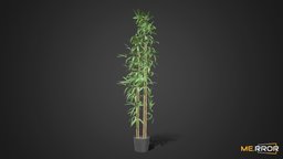 [Game-Ready] Bamboo