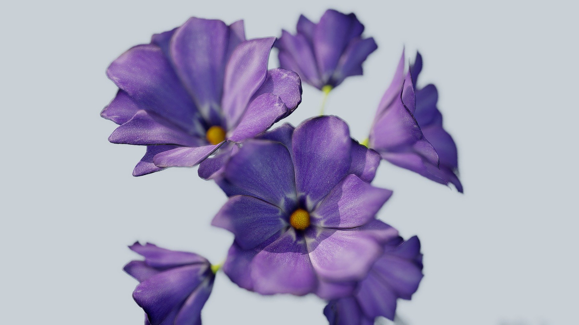 Some Purple Flowers 3d model