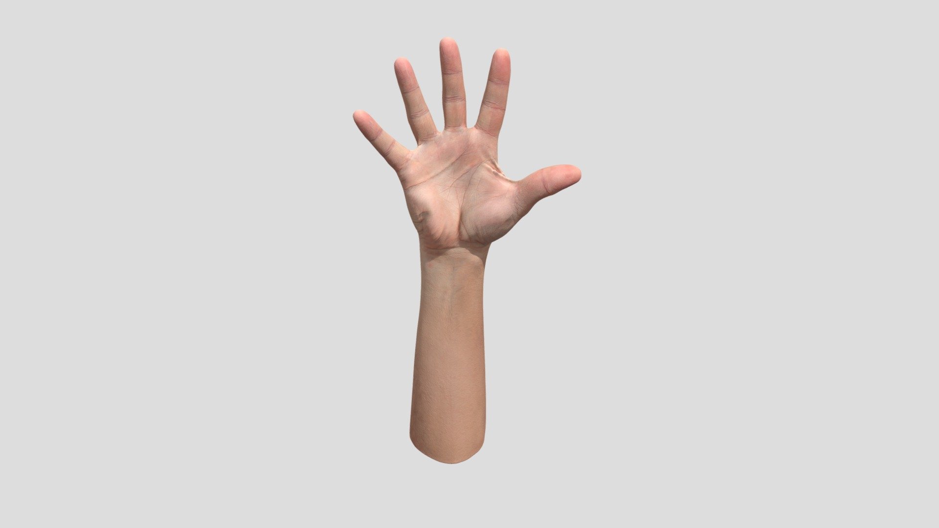 We would like to introduce you to one of the many retopologized hands that offers precise retopology.This hand is perfect for anyone looking for a realistic and aesthetically crafted model for their projects. Find out how this collection can enrich your creative work and give it the visual punch it needs!

Ethnicity: White
Gender: Male
Age: 56
Height: 178 cm
Weight: 89 kg

NOTE: Retopologized scan with postproduction.

Technical Specifications:

1 x OBJ. File / 19 600 polys
2 x 8K PNG Texture - Diffuse, Normal

3Dsk provides all you need from virtual casting studio. Model casting, neutral &amp; morph expression scans, full body scans, accessories and cloth scans, 3D postproduction, photoshooting of full body, portrait, hair, eyes and skin &amp; other on demand services 3d model