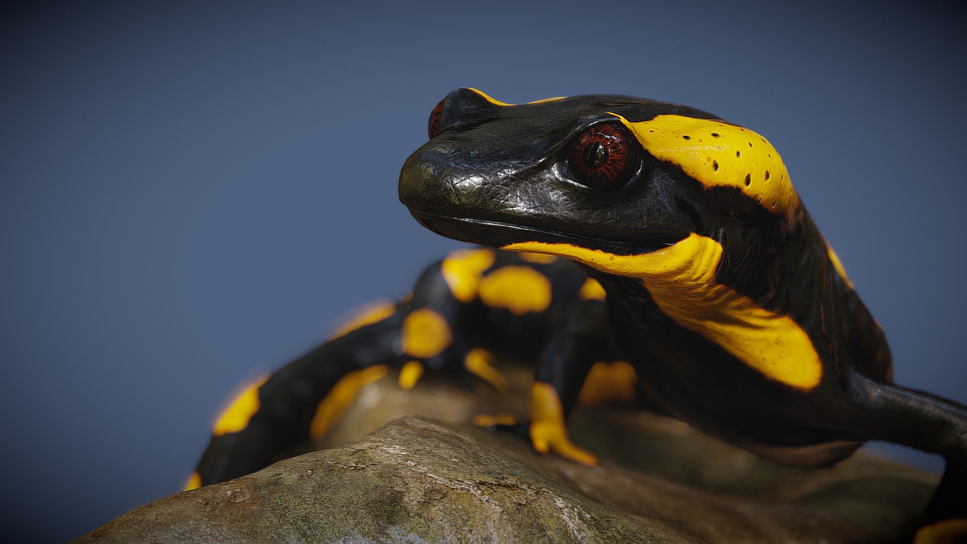 Small scene that I made with my Fire salamander

The Model is buyable here (Walk/Idles cycles animations + transitions)

You can check the video rendered in Cycles here https://www.youtube.com/watch?v=z82z0zBhI-o&amp;amp;ab_channel=Zacxophone
 - Salamander - 3D model by Zacxophone 3d model