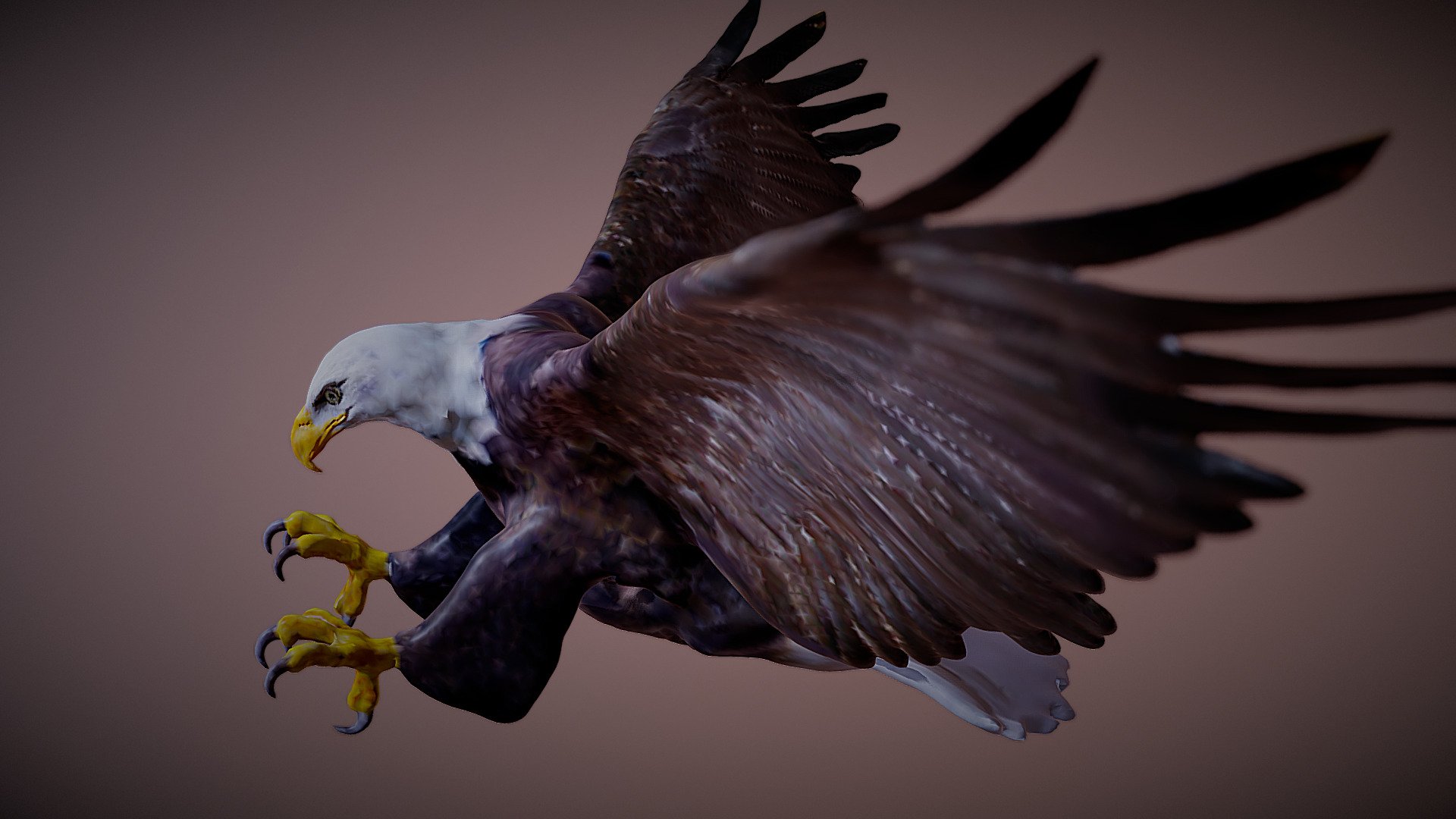 North America Bald Eagle 3d modeling with Zbrush - Bald Eagle Attack - Buy Royalty Free 3D model by Hong Nguyen (@hongnguyen044) 3d model