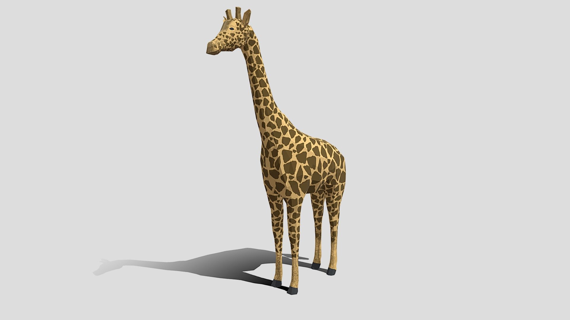 This is a low poly 3d model of a giraffe. The low poly giraffe was modeled and prepared for low-poly style renderings, background, general CG visualization presented as a mesh with quads only.

Verts : 1.118 Faces: 1.116

Hand painted diffuse texture is included, UV unwrap and mapping is available

The original file was created in blender. You will receive a 3DS, OBJ, FBX, blend, DAE, STL.

Warning: Depending on which software package you are using, the exchange formats (.obj, .3ds, .dae .fbx) may not match the preview images exactly. Due to the nature of these formats, there may be some textures that have to be loaded by hand and possibly triangulated geometry.

All preview images were rendered with Blender Cycles. Product is ready to render out-of-the-box. Please note that the lights, cameras, and background is only included in the .blend file. The model is clean and alone in the other provided files, centered at origin and has real-world scale 3d model