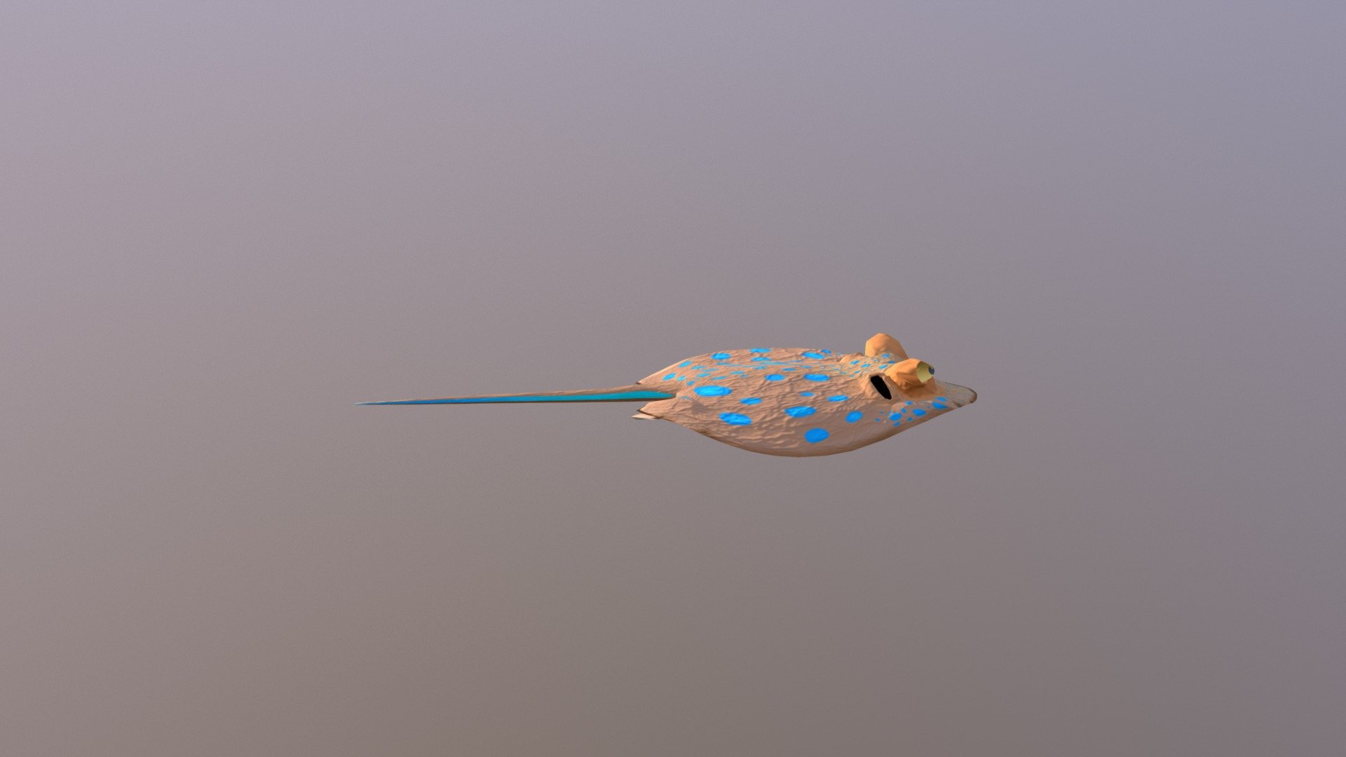 A 3D model for a VR game I'm working on.  Tried to keep it low poly, and went for a stylized approach.  Really had fun making this guy, follow for more models, sea turtle and lionfish on the way 3d model