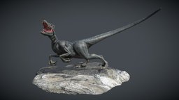Velociraptor velociraptor, dinosaur