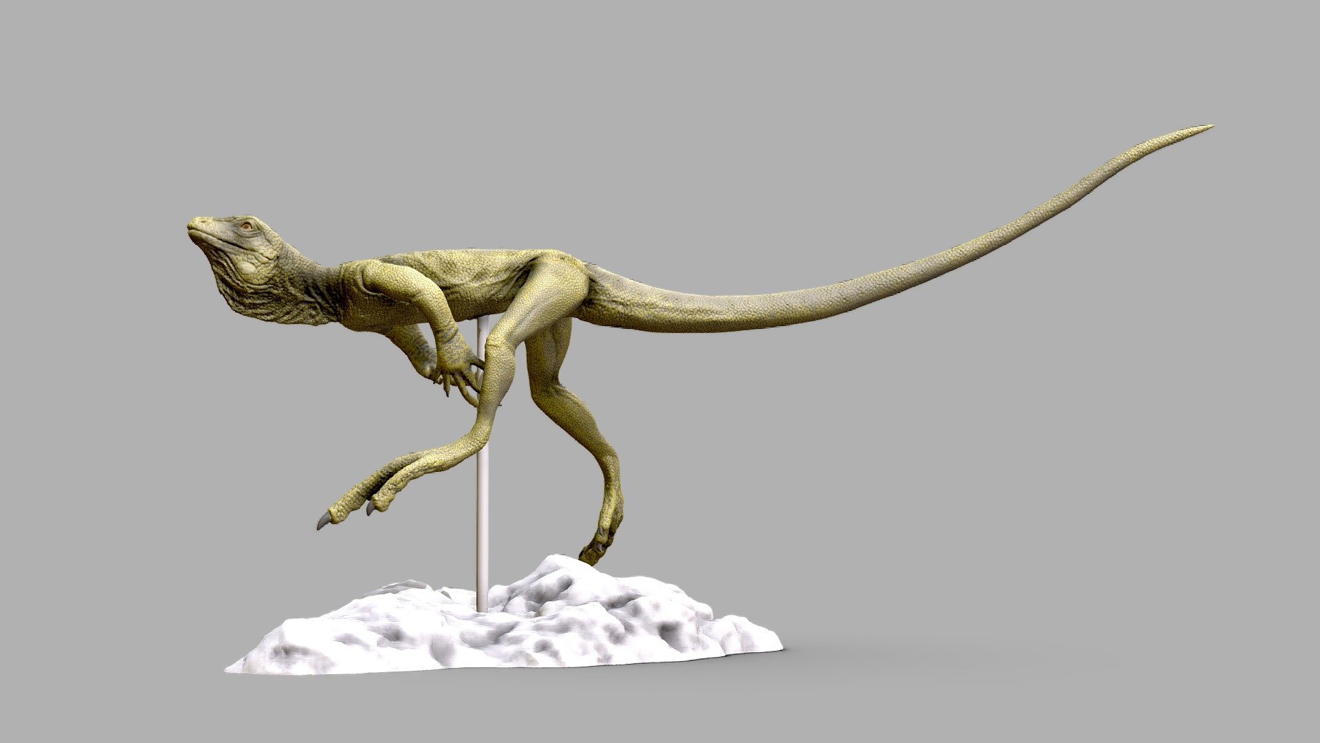 The eudibamus was a small biped parareptile from the early permian. It was unique due to it's considerd way of running or jumping. 

3D Print files for resin printing (Recommended). High quality highpoly files included in additional folder. 

**
Product information:**




STL files for 3D printing

Sliced in multiple pieces

If you don't have a resin printer, you can buy this file and ask My Dinocave to print it  (EU Preffered) 
https://www.facebook.com/mydinocave/

Model Sculpted by Rick Stikkelorum - Eudibamus for 3D Printing - Buy Royalty Free 3D model by RickStikkelorum (@ricksticky) 3d model
