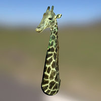 Giraffe (textured) biology, giraffe, mammal, taxidermy, zoology