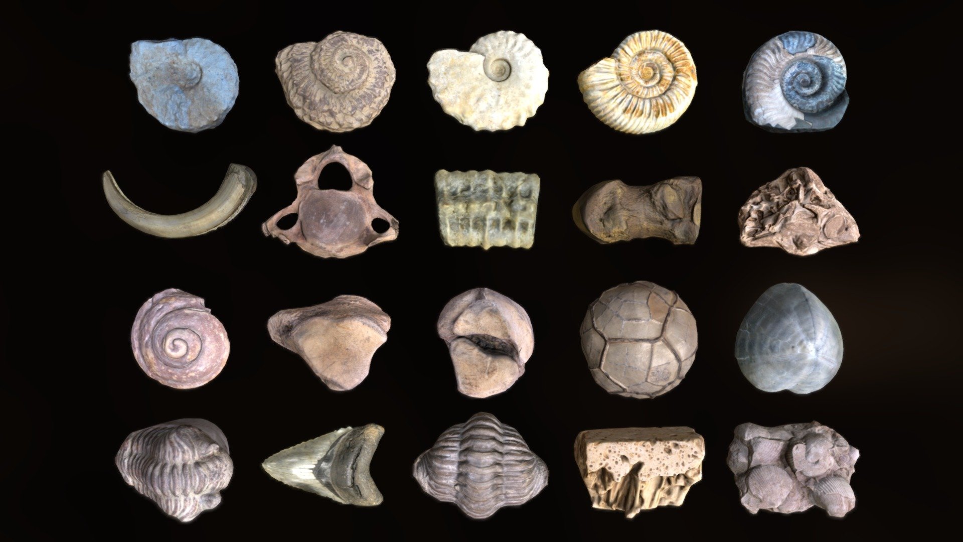 CC-Attribution - Non Commercial

A collection of reprocessed fossils (other free assets here), ready to use as game props, particles or for optimized renderings, but &ldquo;sadly