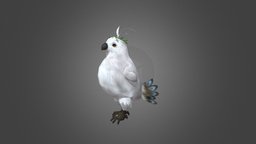 Cute Bird- Dance bird, character, animal, animation, animated, noai