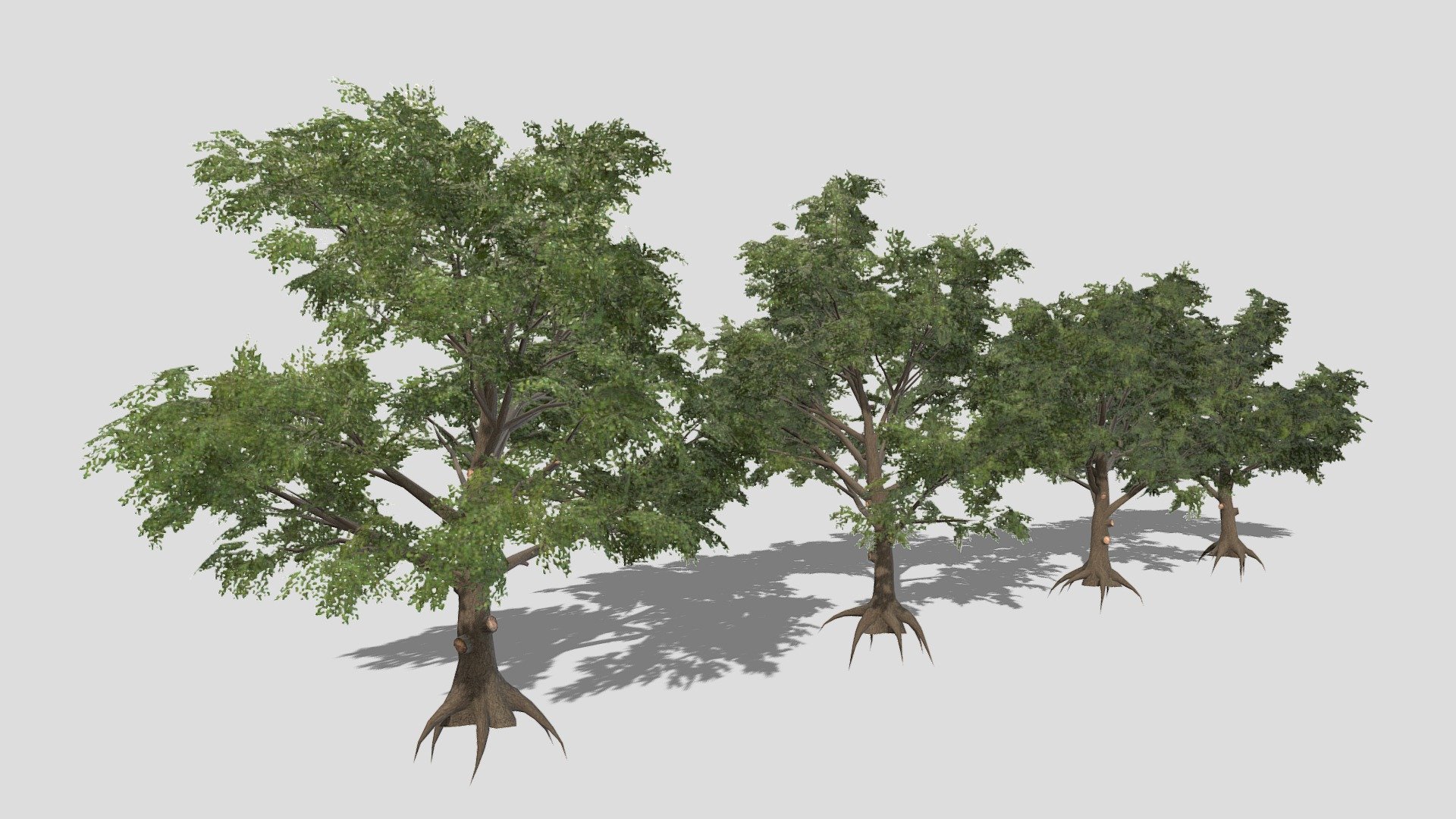 Set of Broadleaf trees

More examples of nature work can be seen here:https://www.artstation.com/leonlabyk

Feel free to contact should you have any requests for foliage assets setup for use with Unity or Unreal - Broadleaf - 3D model by studio lab (@leonlabyk) 3d model